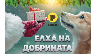 Елхата на добрината: Как да направим Коледа по-добра за косматковците в нужда